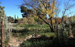 1269 m² Land available in Loxton