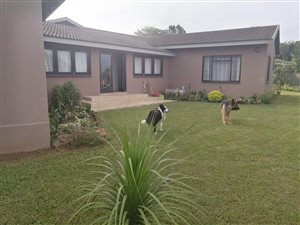 4 Bed House in Melmoth