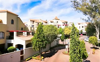 1 Bedroom Apartment in Morningside