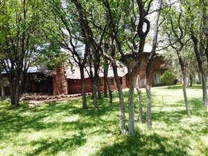 42 ha Farm in Musina