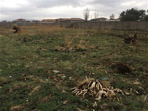 1413 m² Land available in Riversdale