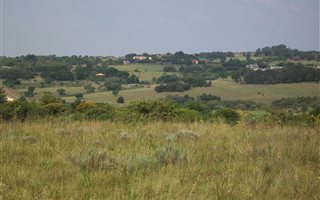 4.3 ha Farm in Bashewa