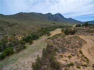 120 ha Farm in Piketberg