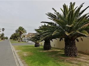 3 Bed House in Waves Edge