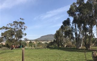2775 m² Land available in Koringberg