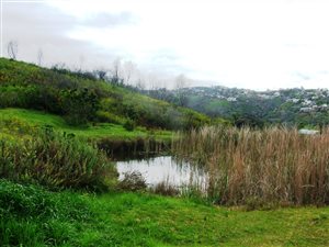 4420 m² Land available in Knysna Central