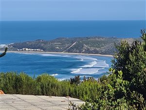 12.9 ha Farm in Knysna Central