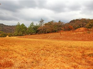 2.5 ha Smallholding in Nelspruit