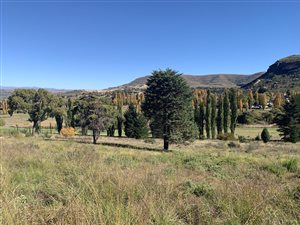 700 m² Land available in Clarens