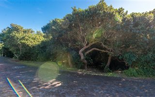 893 m² Land available in Cola Beach