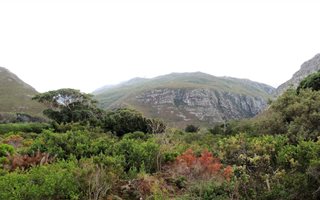 1344 m² Land available in Bettys Bay