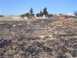 968 m² Land available in Elandshaven