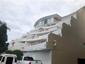 4 Bed Apartment in Musgrave