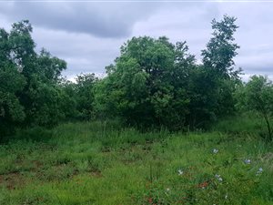 1475 m² Land available in The Ridge Estate