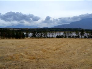 300 m² Land available in Villiersdorp