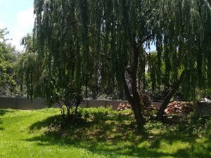 2 Bedroom Garden Cottage in Randpark Ridge
