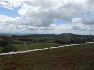 4022 m² Land available in Alverstone