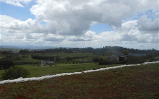 4022 m² Land available in Alverstone