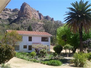 283 ha Farm in Ficksburg