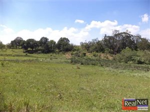 19 ha Land available in Tweedragt