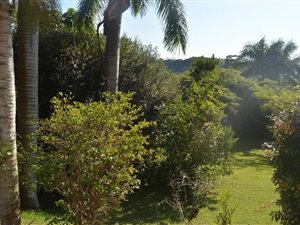 2.3 ha Smallholding in Marburg