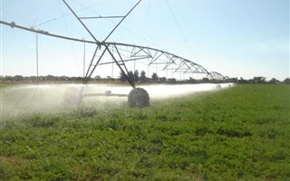 71 ha Farm in Hartsvallei