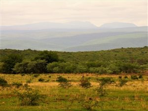 1193 ha Farm in Vaalwater