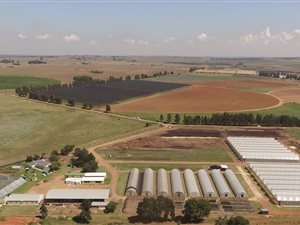 22.8 ha Farm in Bapsfontein