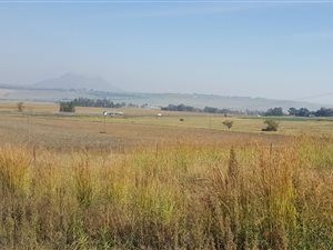 88 m² Farm in Harrismith