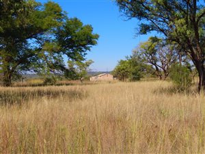 22 ha Land available in Dinokeng