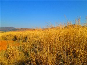 875 m² Land available in Dullstroom