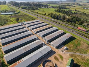 6.2 ha Farm in Klapmuts