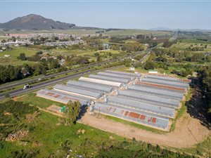 6.2 ha Farm in Klapmuts
