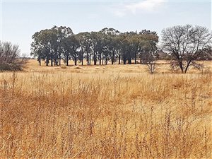 1.5 ha Farm in Estoire