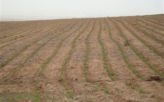 488 ha Farm in Bethlehem
