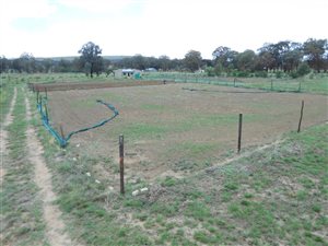 2 ha Farm in Henley on Klip