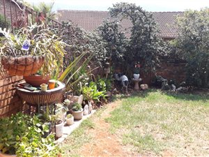 3 Bed House in Montrose