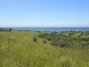 3431 m² Land available in Elysium