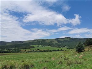 446 ha Farm in Cedarville