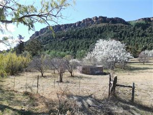 1881 m² Land available in Lady Grey
