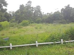 509 m² Land available in Eshowe