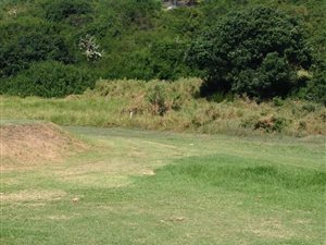 694 m² Land available in Hersham
