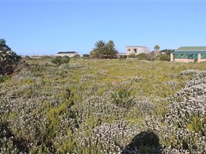 1098 m² Land available in Bettys Bay