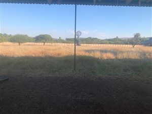 Farm in Wonderboom AH