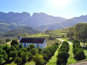130 ha Farm in Swellendam
