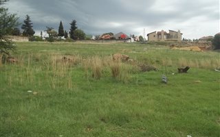 7000 m² Land available in Elandshaven