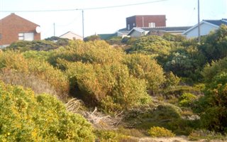 632 m² Land available in Struisbaai