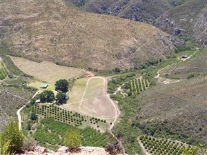3132 ha Farm in Joubertina