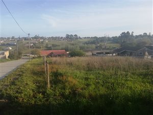 2009 m² Land available in Pacaltsdorp
