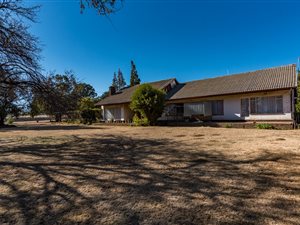 7 Bed House in Hillside AH